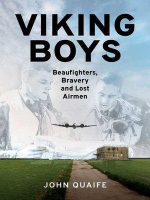cover image of Viking Boys